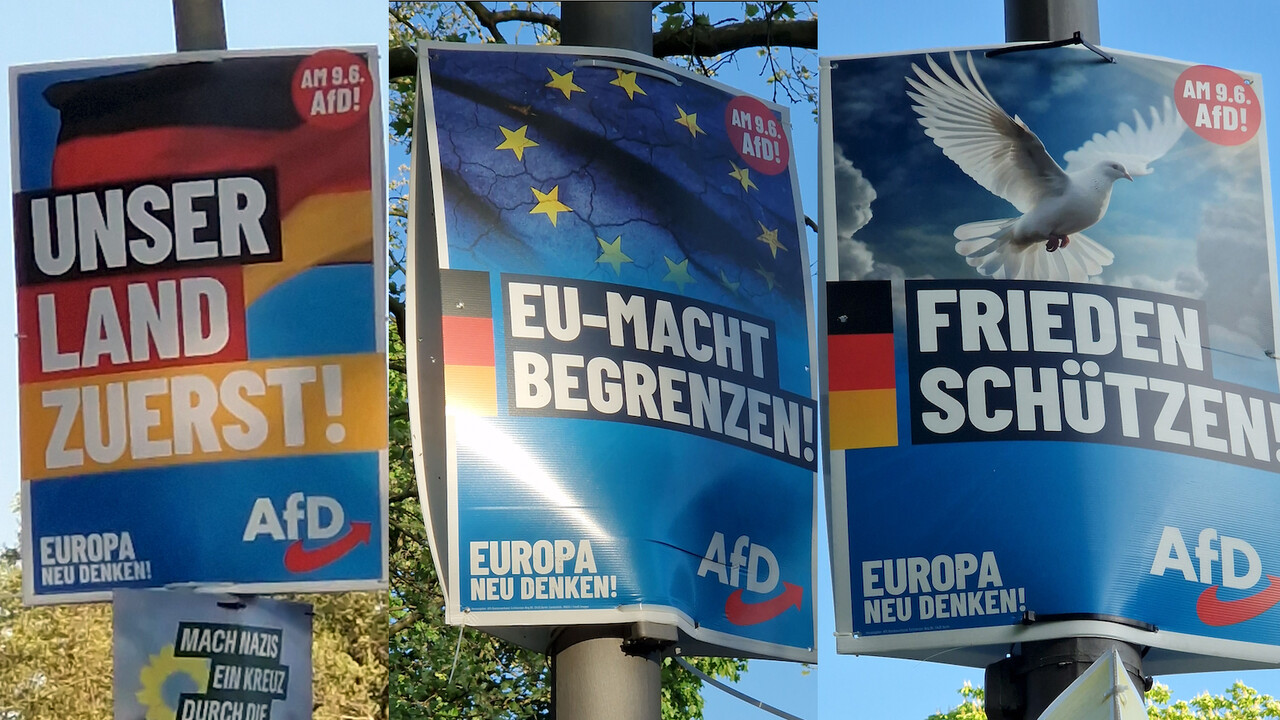 Collage aus Plakaten der Partei AfD