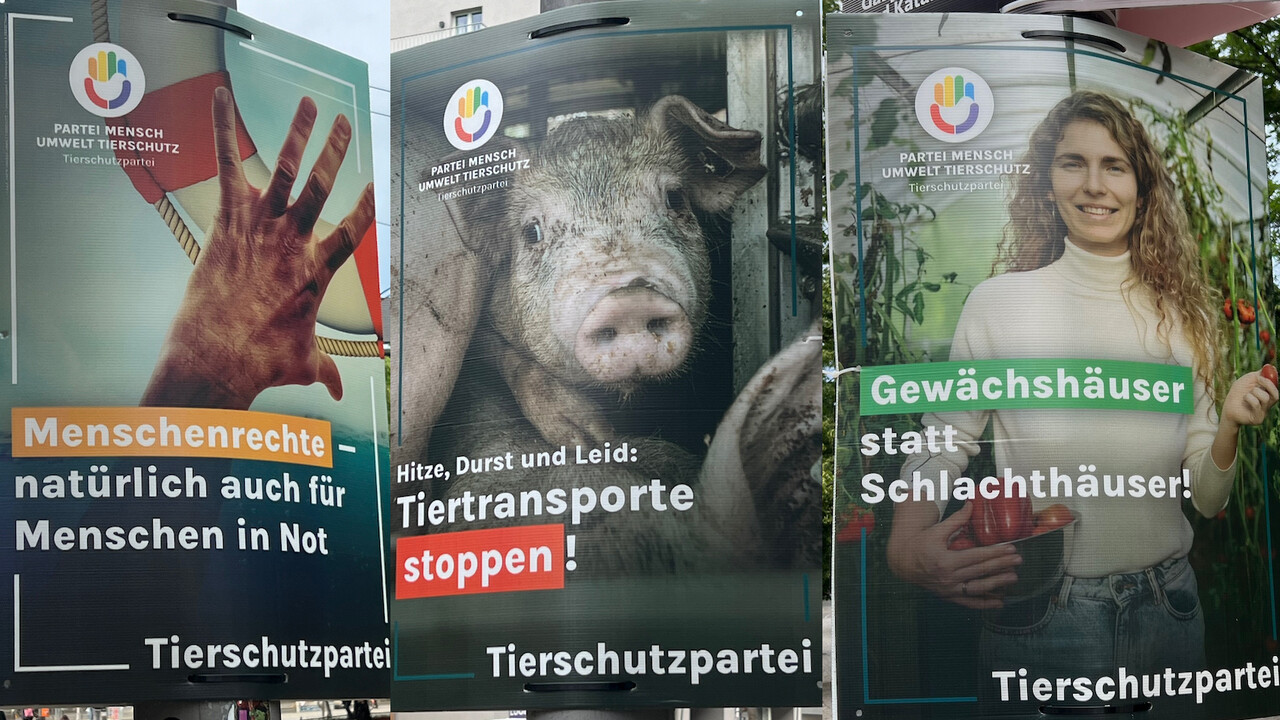 Collage aus Plakaten der Tierschutz-Partei 